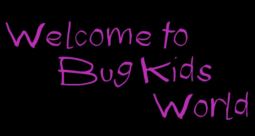 Welcome (Dark)