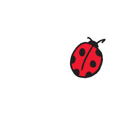 Animated decoration