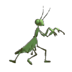 Animated decoration
